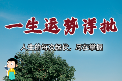 算卦一条街生辰八字算命：时柱是偏印是不<font color=