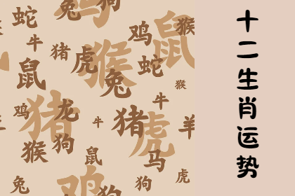 未命名图片 (72).png