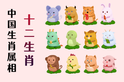 未命名图片 (63).png