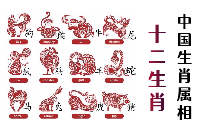 未命名图片 (22).png