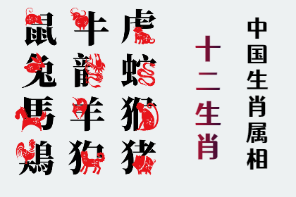 未命名图片 (10).png