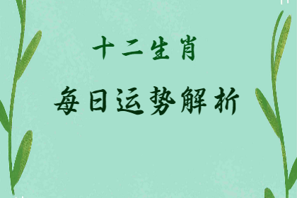 未命名图片 (31).png