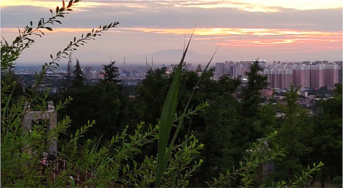 1698029407398689.png 1694426041212.png