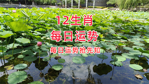 未命名图片 (4).png