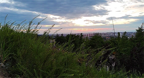 1699372499299329.png 1694425973700.png