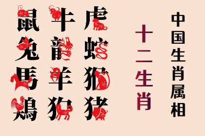 未命名图片 (7).png