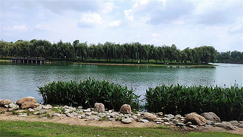 1706156434292708.jpg 6dd9e1d839c2f559ae6d0c033e317a4.jpg