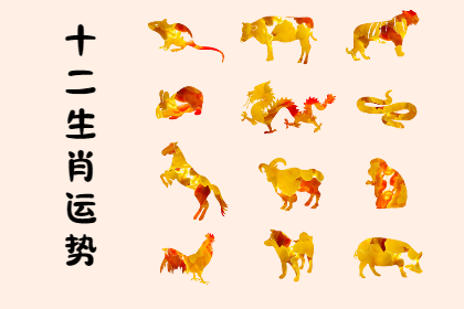 未命名图片 (26).png