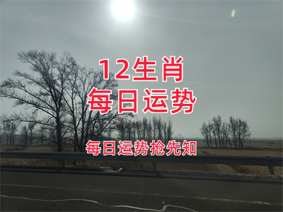 未命名图片 (4).png