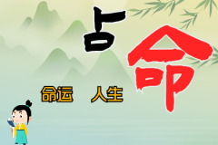 测八字算命：论“食伤<font color=