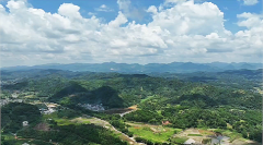 闹闹女巫店今日星座运势：2024年7月28日（算卦街算命一条街 ）