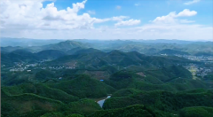 闹闹女巫店今日运势2024年8月2日（算卦街算命一条街 ） 