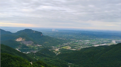 闹闹女巫店今日星座运势：2024年8月17日（算卦街算命一条街 ）