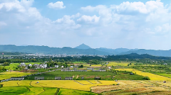 闹闹女巫店今日星座运势：2024年8月18日（算卦街算命一条街 ）