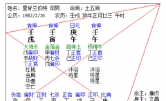 九月癸酉月月运 丙火六个日柱四千字（善若吉算命一条街）