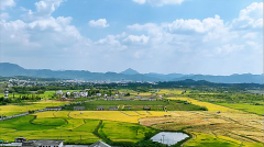 闹闹女巫店今日星座运势：2024年9月4日（算卦街算命一条街 ）