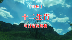 郑博士：9月24日生肖运势、今明吉凶播报(一对一算命一条街)