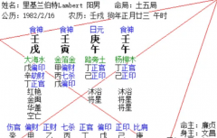 十一月乙亥月运癸水六个日柱事业感情四千字（乾坤网算命一条街）