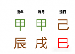 每日运势 2024.11.1（周五）己巳日（乾坤网算命一条街）