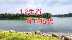 2024年11月23日需要注意的属相有哪些？真<font color=