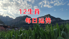 郑博士：11月26日生肖运势、今明吉凶播报(一对一算命一条街)