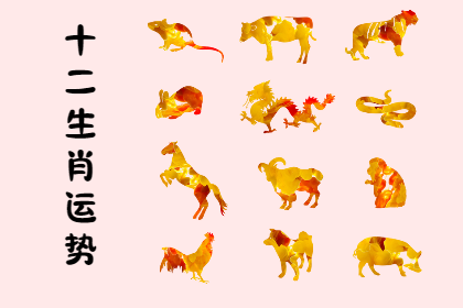 未命名图片 (25).png