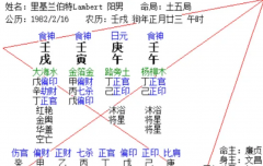 二月戊寅月月运 戊土两千五百字合集（乾坤网算命一条街）