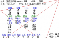 二月戊寅月月运 丙火两千五百字合集(乾坤网算命一条街)