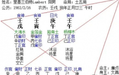 2025年运补充 戊子戊寅以及打分（乾坤网算命一条街）