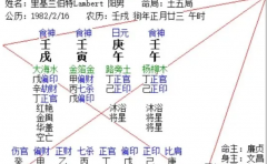 2025乙巳年运 甲申甲子甲寅合集三千五百字（乾坤网算命一条街）