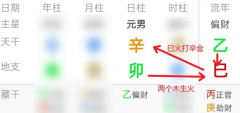 如何看懂年运-2025乙巳年辛亥辛卯日柱年运张郃解读版（乾坤网算命一条街）