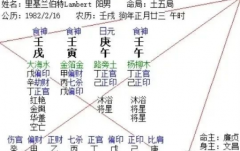 2025年运补充 乙巳癸丑己丑庚辰以及打分（乾坤网算命一条街）