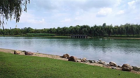 1742141095764940.jpg 4044bc22f30f6bf26e424cbeca1e322.jpg