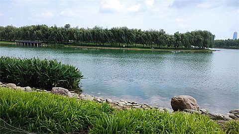 1742829937189322.jpg b1303eddc97ec431b6c31c5e2cd568e.jpg