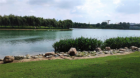 1745767977565310.jpg 7f536c8907f70cbd664f3c288f7c29f.jpg