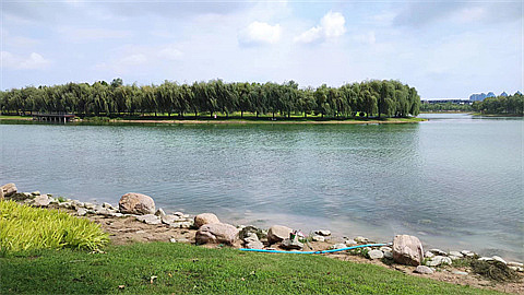 1746977303696827.jpg 313d3a923df0e3ae866d76c82adf473.jpg