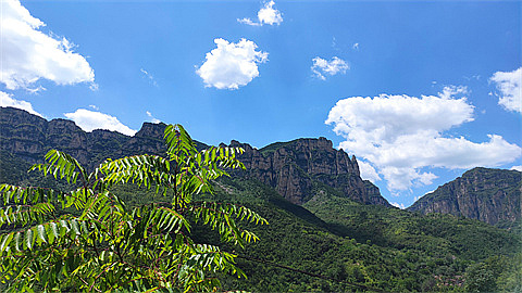 1746977854651531.jpg d220a0d11ddd2f172e74676e9800364.jpg