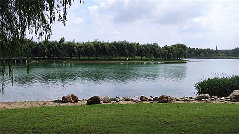 1747701523362785.jpg 072836f9f3eff0b8df8c1a235bd0191.jpg