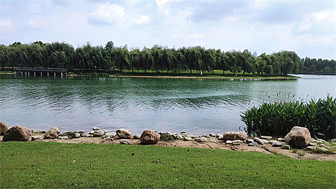 1747878501802374.jpg 9384513f009c495a0c7b004e91c93aa.jpg