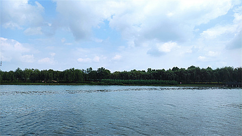 1747924549733646.jpg 7278efacc0a8fae210314117ad2cbc2.jpg