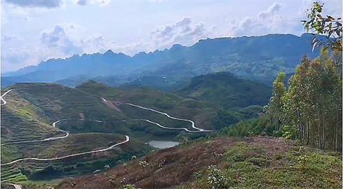 1748058629657832.png 1694425240438.png