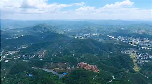 1748102130549456.png 1694425322389.png