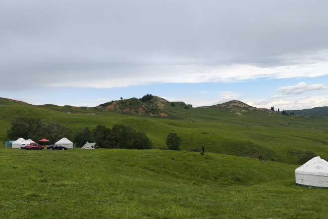 1749396888751772.png 1749030367367.png