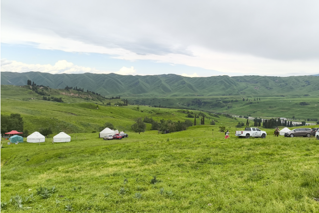 1749396929730385.png 1749027616230.png