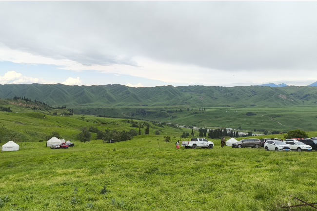 1749397600290095.png 1749027590540.png