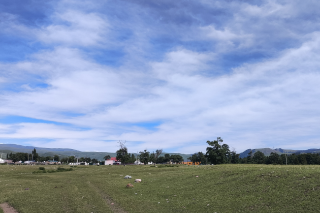 1749746762116245.png 1748958522358.png