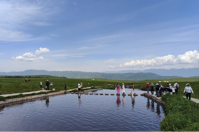 1749919806888430.png 1748502044027.png