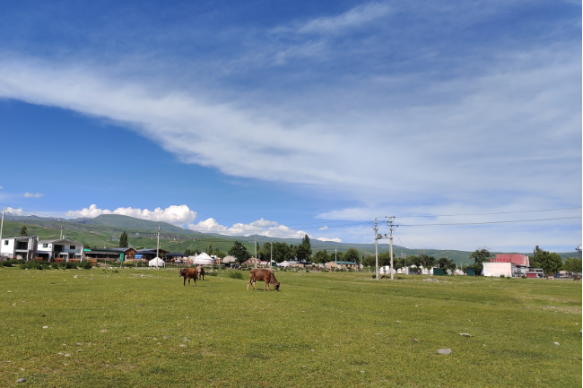 1750177867782425.png 1748528619932.png