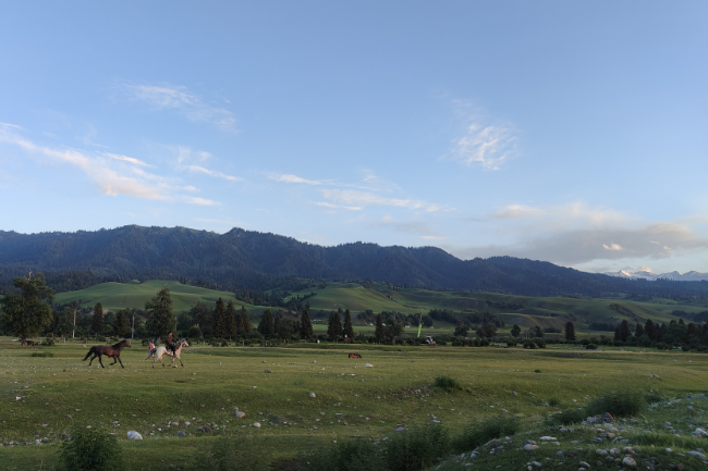 1750178056713680.png 1748526978464.png