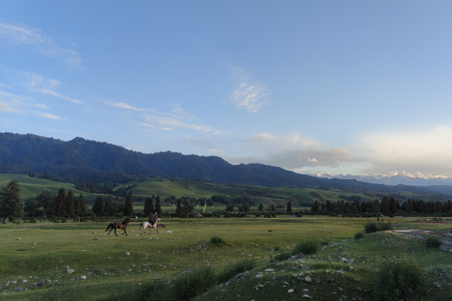 1750436659478322.png 1748526721167.png